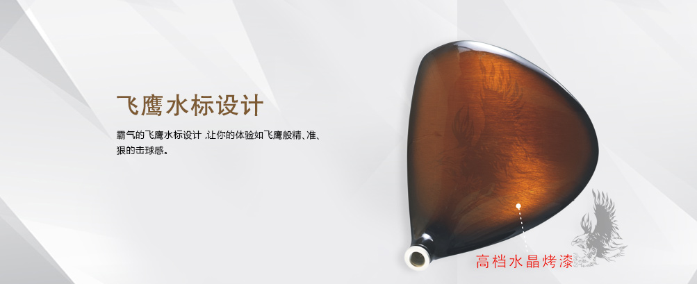 V6 GOLD  发球木