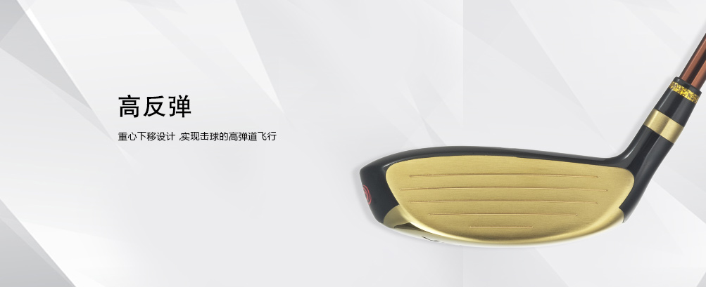 F2 球道木