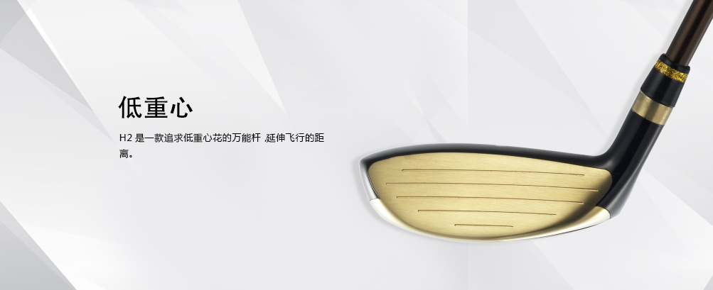 H2 铁木杆