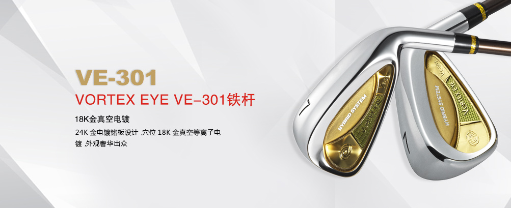 VE-301 铁杆