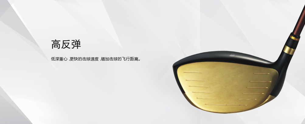 D2(金色) 发球木